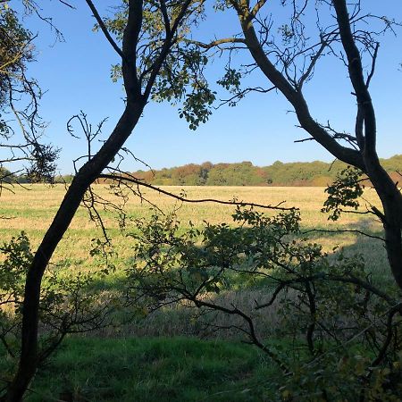 Old Hunters Lodge Whipsnade Limited Zewnętrze zdjęcie