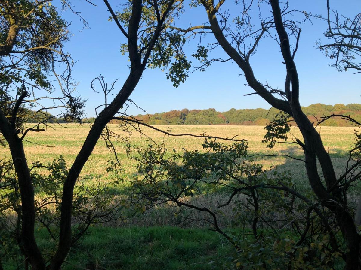 Old Hunters Lodge Whipsnade Limited Zewnętrze zdjęcie